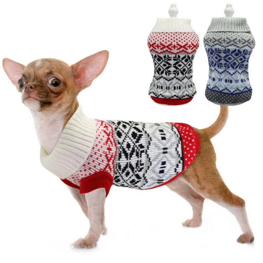 sweater for chihuahuas