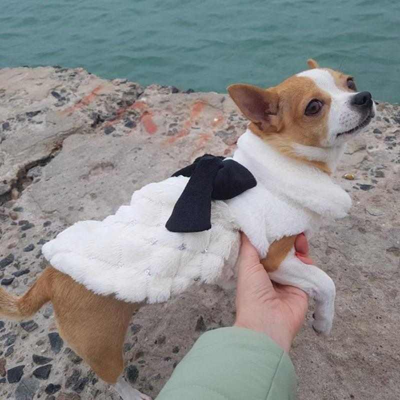 winter coats for chihuahuas