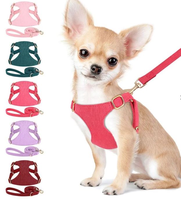 harnesses for chihuahuas