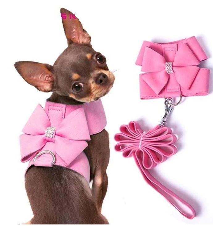 harness for a chihuahua